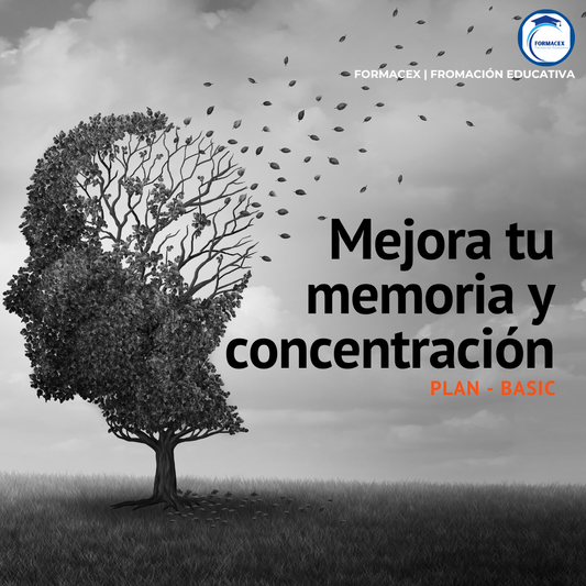 Mejora tu memoria y concentración | Curso Online de Entrenamiento Mental