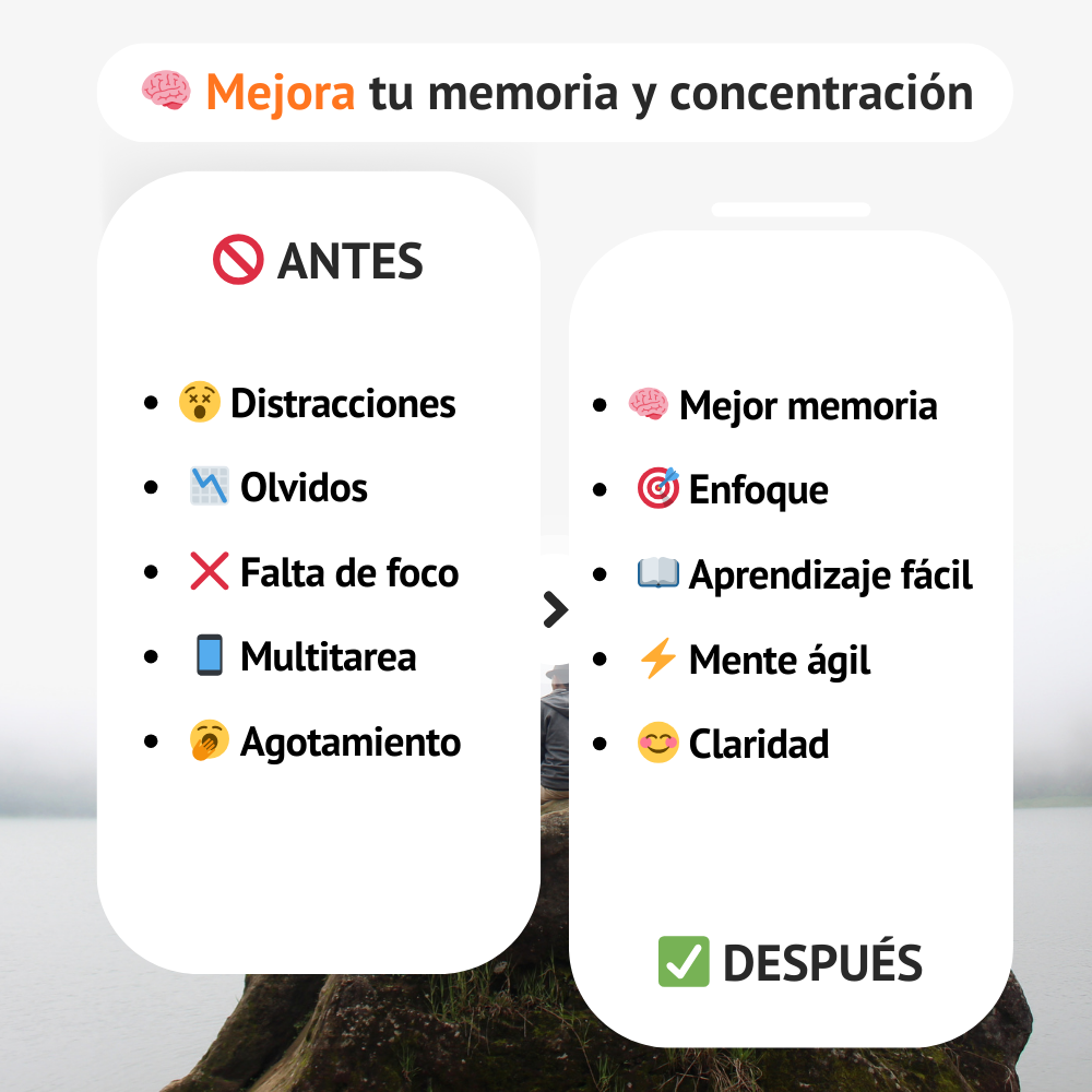 Mejora tu memoria y concentración | Curso Online de Entrenamiento Mental